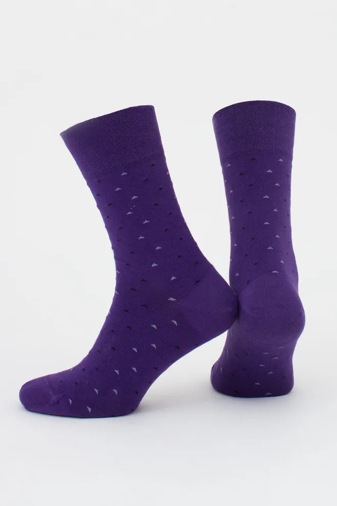 Носки мужские высокие с рисунком MS3 BASIC 2401 GIULIA (violet indigo), фиолетовый