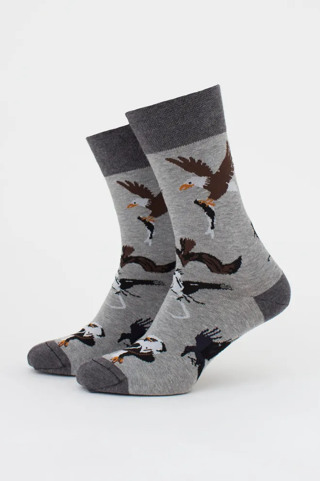 Чоловічі шкарпетки набір з 2 пар (орли та смужки) MS3 FASHION SET 2 (пак х2) Giulia (dark grey melange/black), сірий/чорний