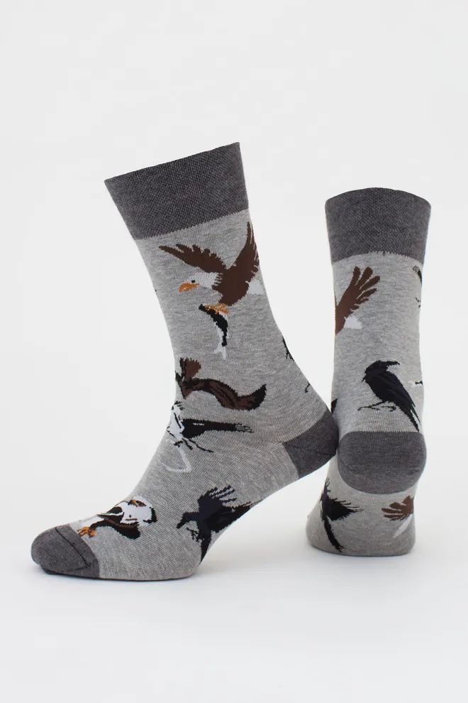 Чоловічі шкарпетки набір з 2 пар (орли та смужки) MS3 FASHION SET 2 (пак х2) Giulia (dark grey melange/black), сірий/чорний