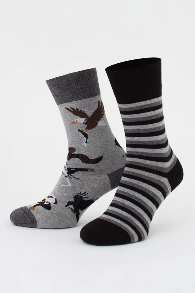 Чоловічі шкарпетки набір з 2 пар (орли та смужки) MS3 FASHION SET 2 (пак х2) Giulia (dark grey melange/black), сірий/чорний