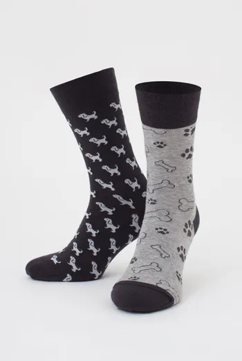 Мужские носки набор из 2 пар (собачки и косточки) MS3 FASHION SET 3 (пак х2) Giulia (iron/light grey melange), серый/светло-серый Мужские носки набор из 2 пар (собачки и косточки) MS3 FASHION SET 3 (пак х2) Giulia (iron/light grey melange), серый/светло-серый