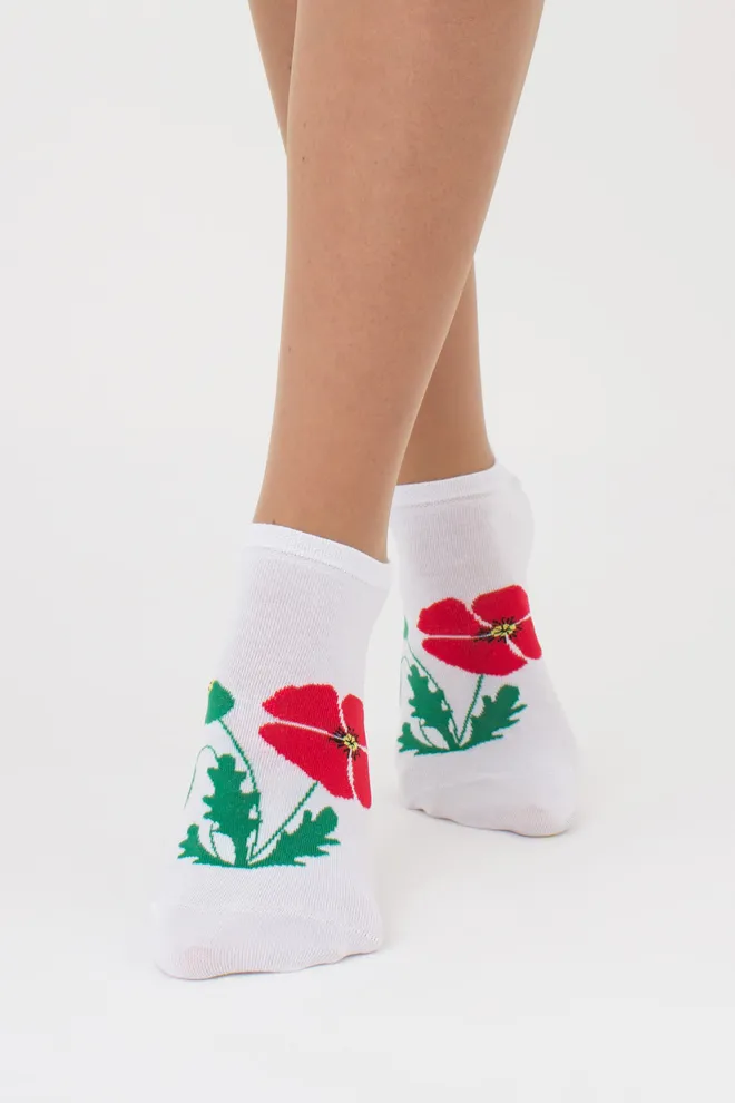 Женские носки набор из 2 пар WS1 FASHION SET 2404 Giulia (white), білий