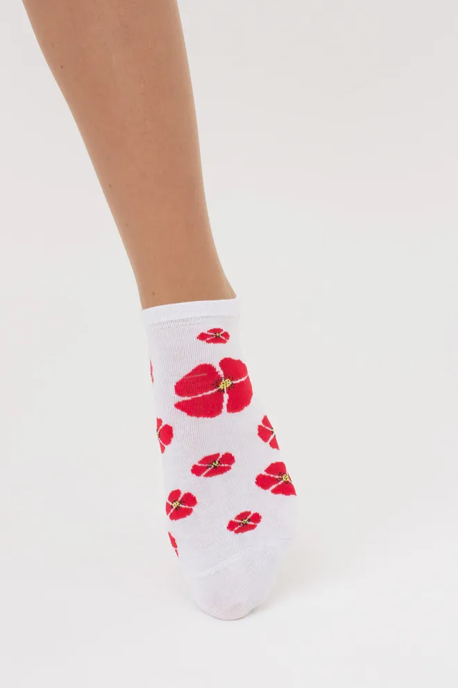 Женские носки набор из 2 пар WS1 FASHION SET 2404 Giulia (white), білий