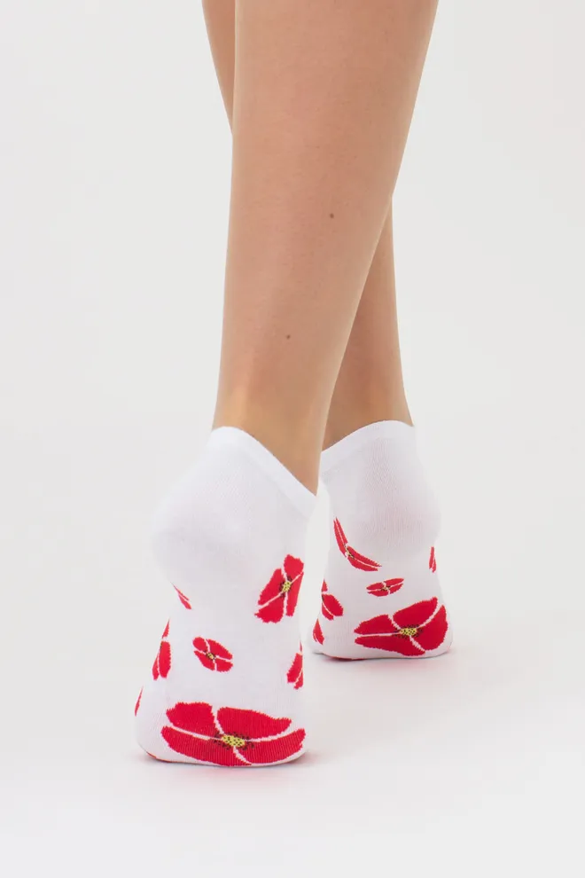 Женские носки набор из 2 пар WS1 FASHION SET 2404 Giulia (white), білий