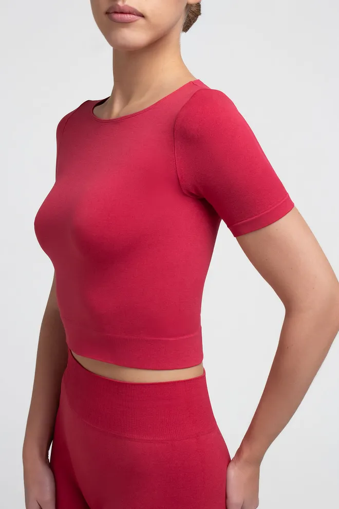 Топ с коротким рукавом CROP T-SHIRT Giulia (winterberry), красный