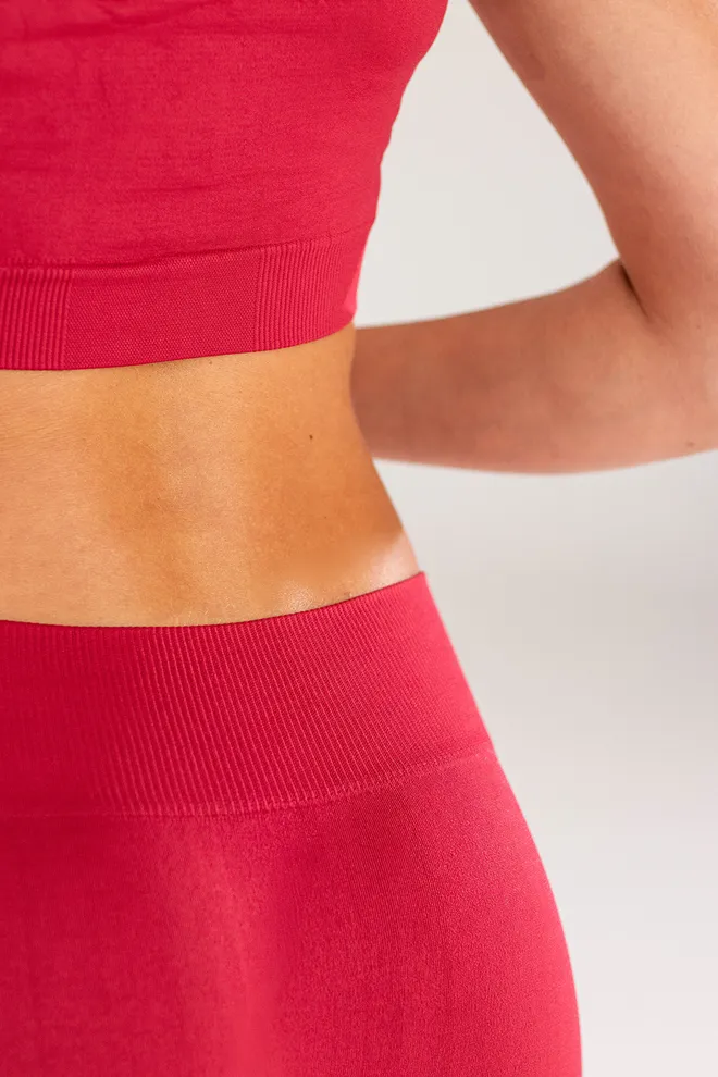 Бесшовные леггинсы клеш FLEXING LEGGINGS JIVE Flexit (winterberry), красный