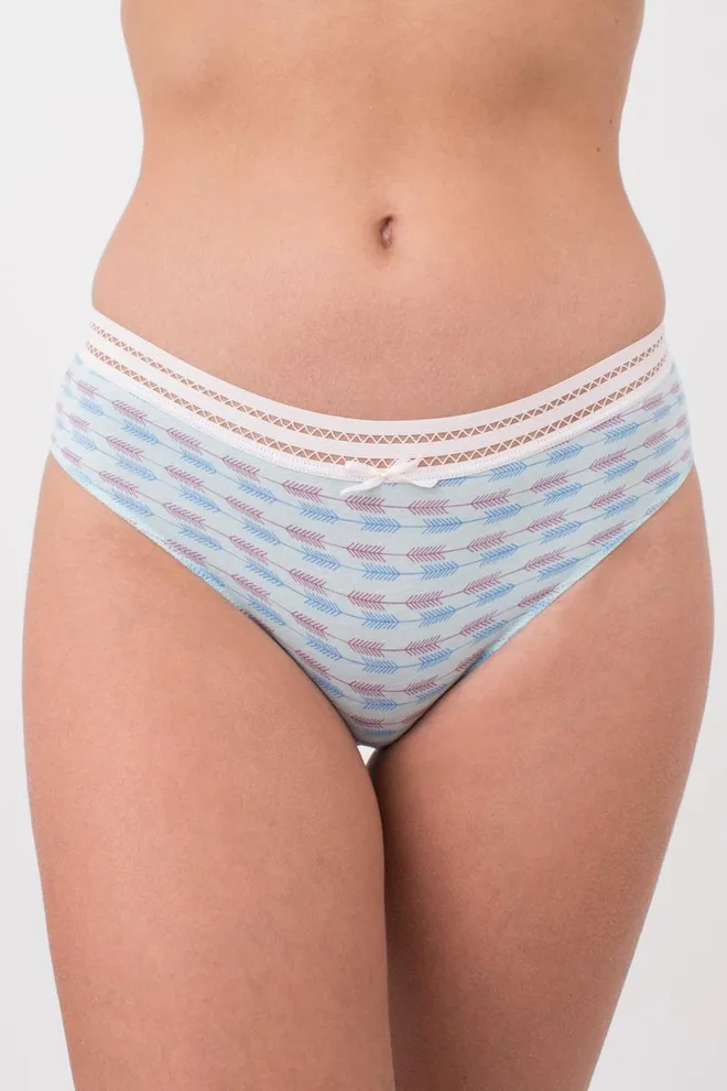 Женские трусы слипы Cotton print 2301/06 Giulia (blue arrows)