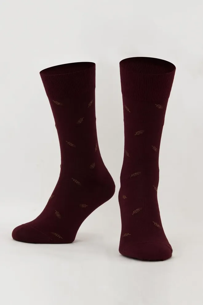 Классические мужские носки Elegant 306 Calzino Giulia (dark bordo)