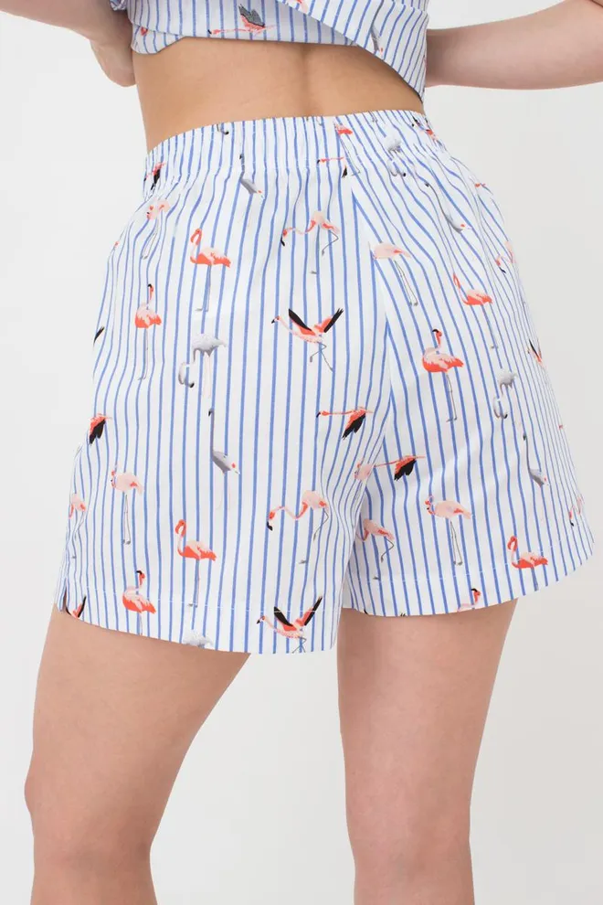 Женские хлопковые шортики Flamingo 4212/010 Giulia (blue stripe)