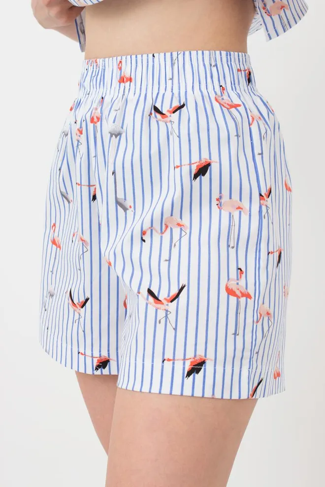 Женские хлопковые шортики Flamingo 4212/010 Giulia (blue stripe)