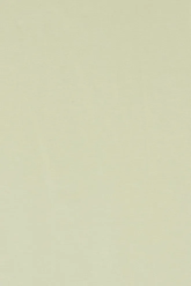 Футболка чоловіча Adam 49/409/010 Giulia (olive)