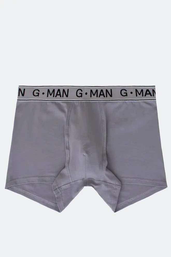 Мужские трусы боксеры вискоза G-man 20401/50 Giulia (grey)