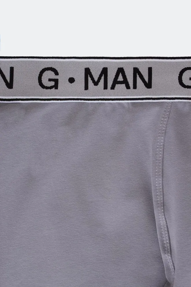 Мужские трусы боксеры вискоза G-man 20401/50 Giulia (grey)