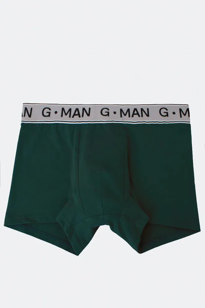 Мужские трусы боксеры вискоза G-man 20401/50 Giulia (khaki)