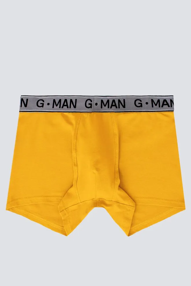 Мужские трусы боксеры G-man 20401/60 Giulia (yellow)