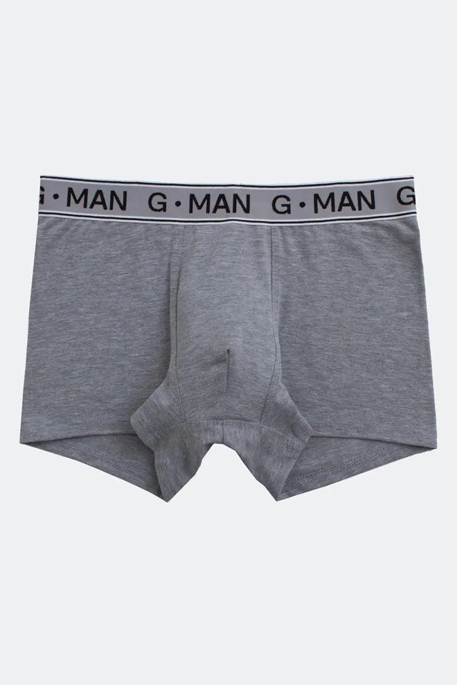 Мужские трусы боксеры G-man 20401/60 Giulia (light grey melange)