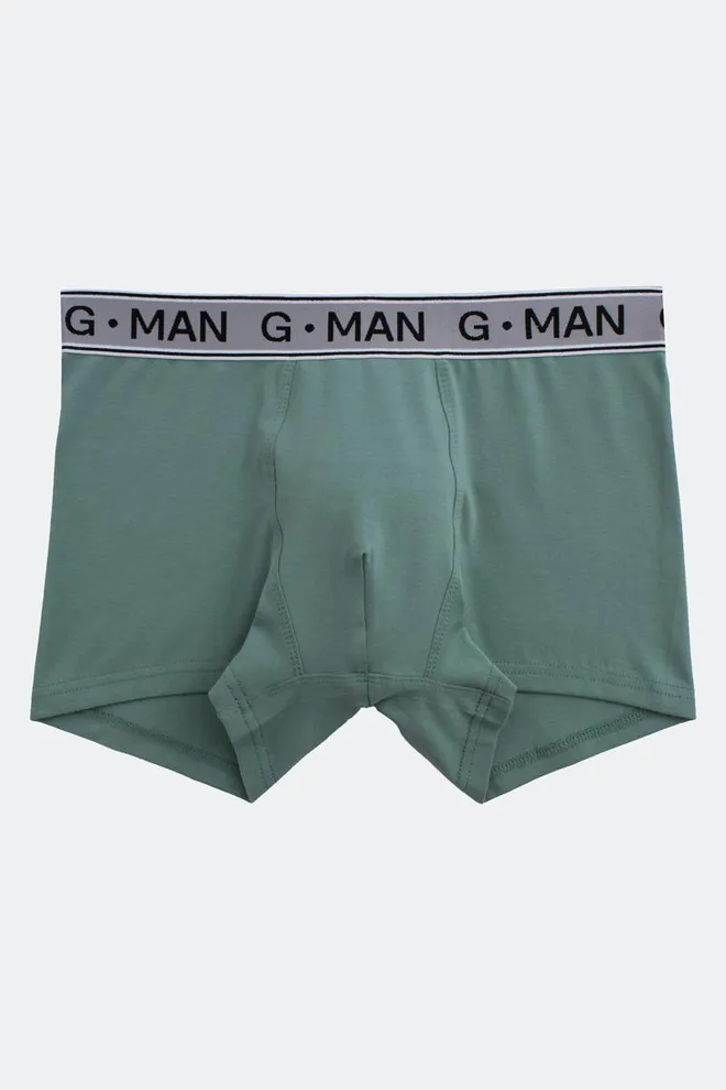 Мужские трусы боксеры G-man 20401/60 Giulia (mint)