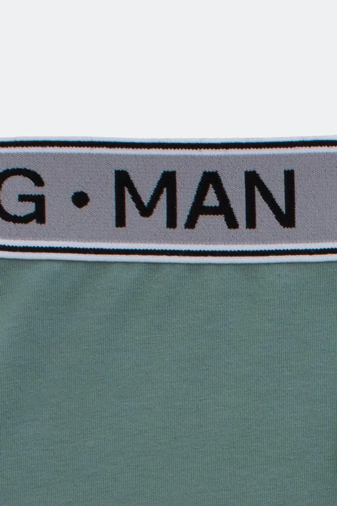 Мужские трусы боксеры G-man 20401/60 Giulia (mint)