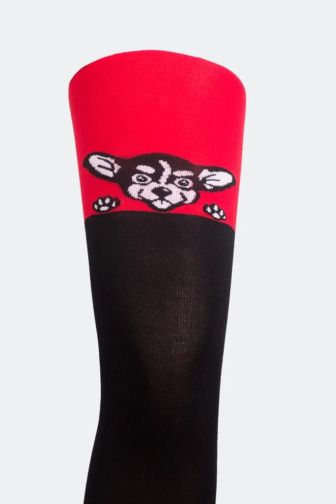 Детские колготки с рисунком Janis 80 model 1 Giulia (scarlet)