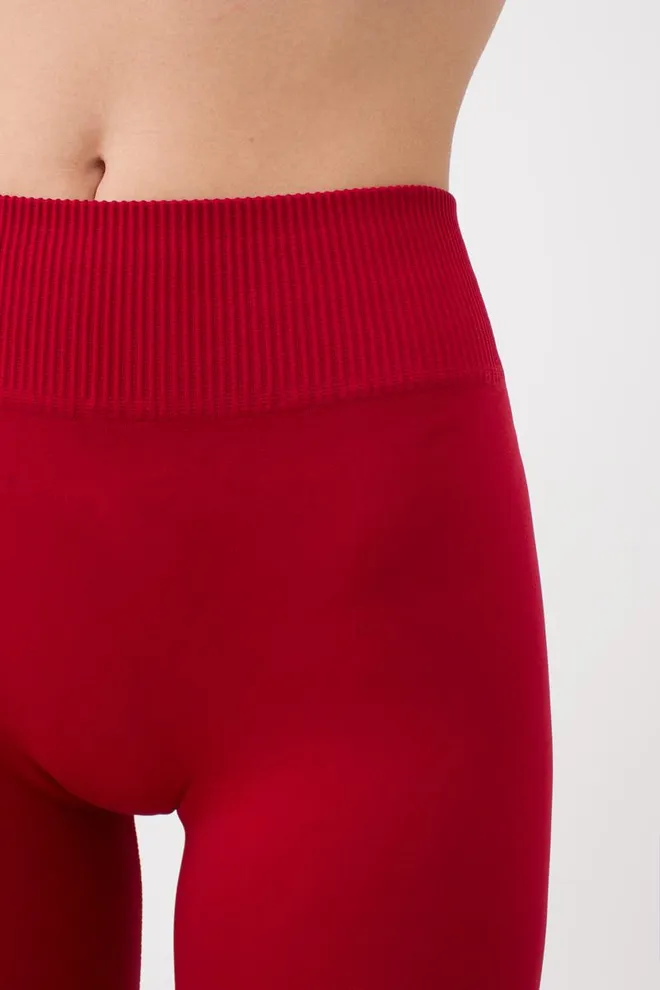 Безшовні легінси з мікрофібри LEGGINGS Giulia (winery), бордовий