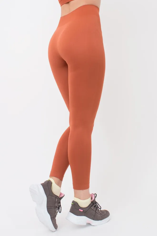 Безшовні спортивні легінси з мікрофібри LEGGINGS 02 Giulia (burnt sienna), помаранчевий