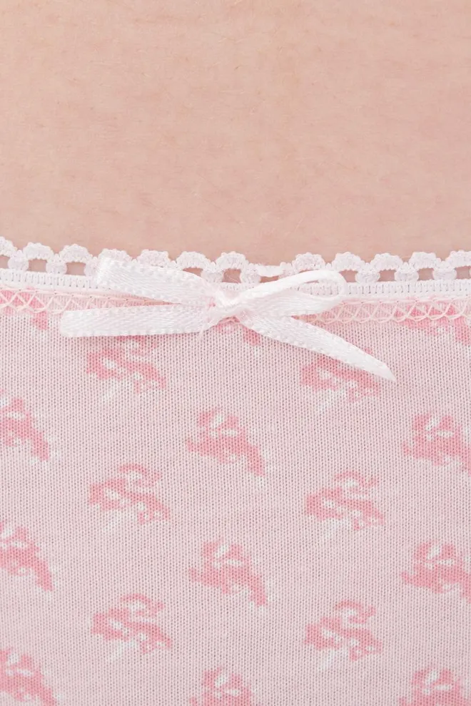 Женские трусы слипы Lily 2302/60 Giulia (pink flowers)