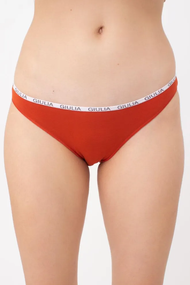 Женские трусы слипы Logo 2302/60 Giulia (terracota)