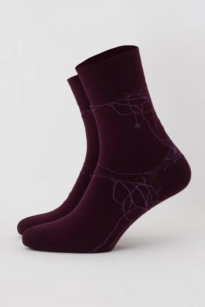 Носки мужские классические с рисунком Ms3 Halloween 006 Giulia (vintage grape)