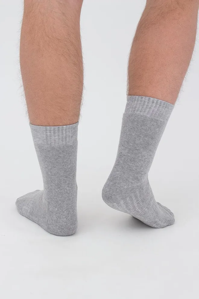 Носки мужские спортивные Ms3 terry sport 006 Giulia (light grey melange)