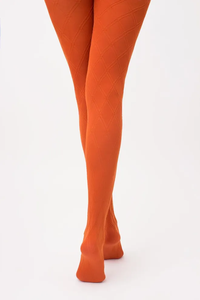 Колготки теплые с узором Salient 100 den model 2 Giulia (bombay brown)