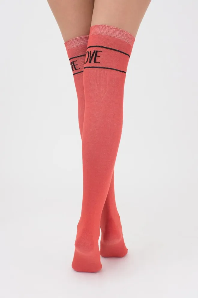 Гольфы ботфорты хлопковые с надписью WB1 text 002 Giulia (ginger)