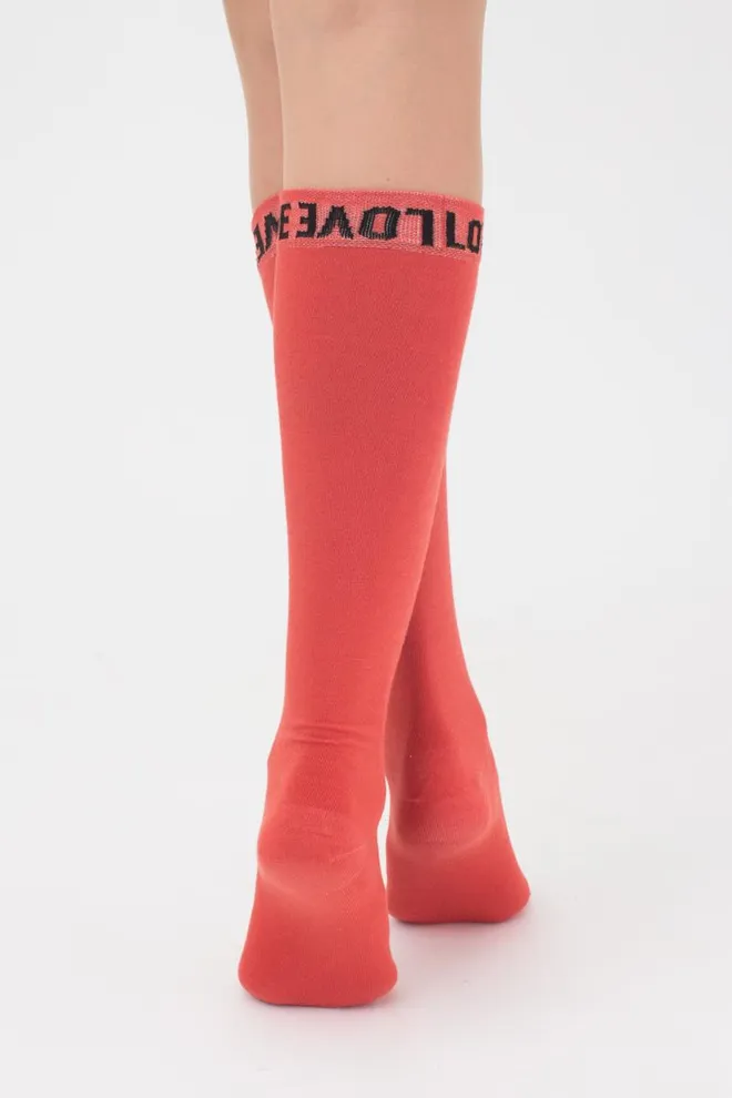 Гольфы ботфорты хлопковые с надписью WG1 text 002 Giulia (ginger)