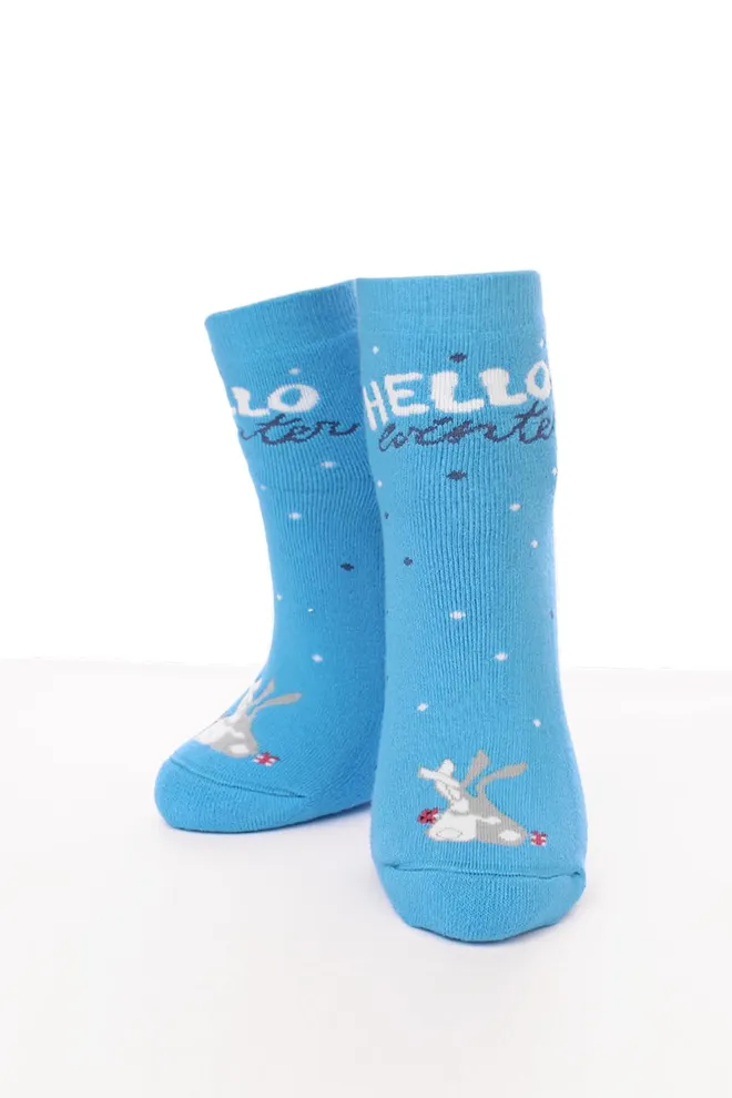 WS2C/Te-002 Женские махровые носки ТМ GIULIA  (blue)