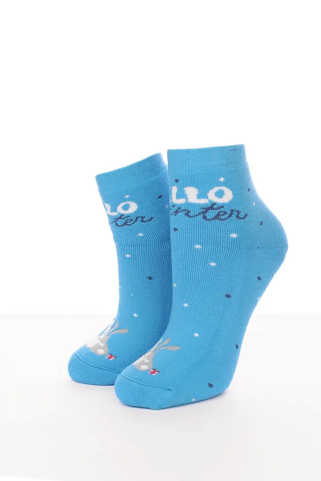 WS2C/Te-002 Женские махровые носки ТМ GIULIA  (blue)