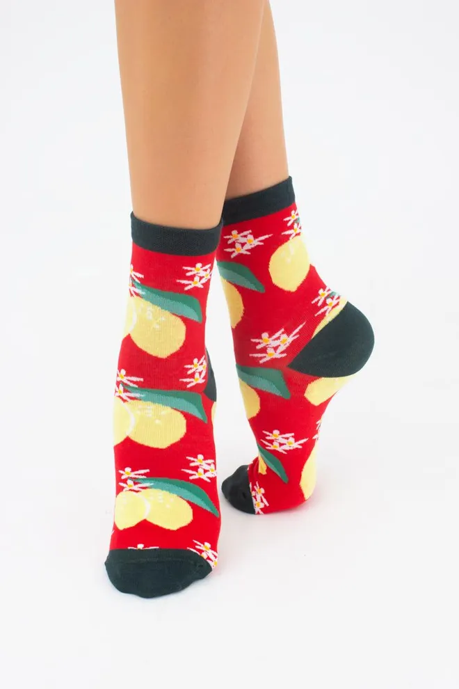 Носки женские классические с фруктами WS3 soft berry 002 Giulia (true red)