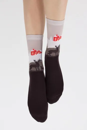 Носки женские теплые с рисунком Ws3 Terry 2302 Giulia (caffe)