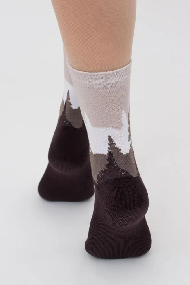Носки женские теплые с рисунком Ws3 Terry 2302 Giulia (caffe)