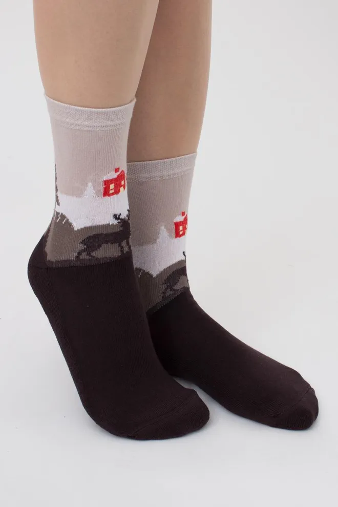 Носки женские теплые с рисунком Ws3 Terry 2302 Giulia (caffe)