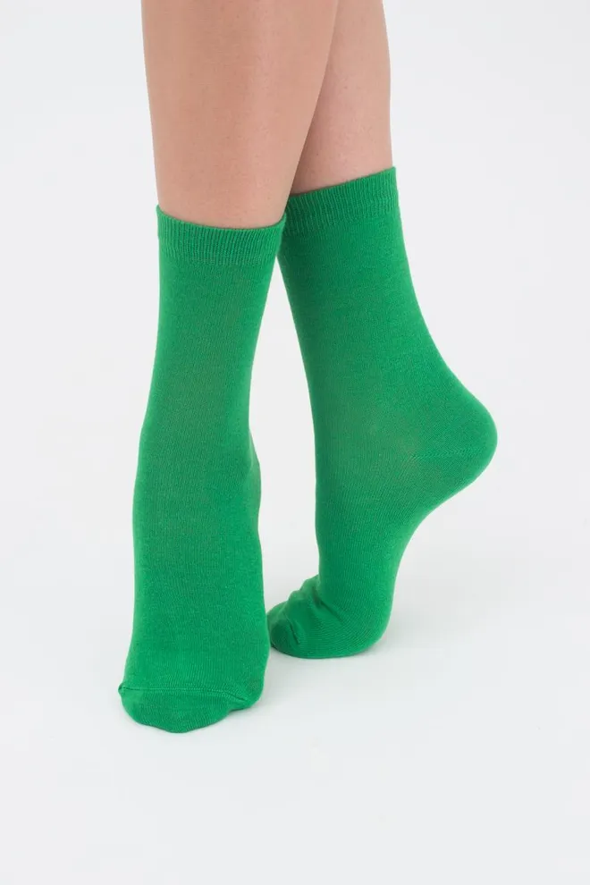 Шкарпетки жіночі класичні WSL color Giulia (green)