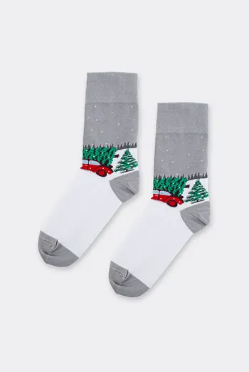 Мужские носки новогодние MS3 NEW YEAR 2602 Giulia (silver), серый