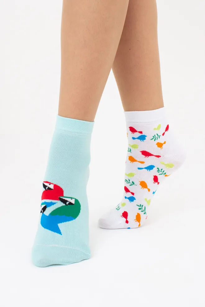 Жіночі шкарпетки з папугами (2 пари) WS2 FASHION SET 2406 (пак х2) Giulia (pastel turquoise), зелений
