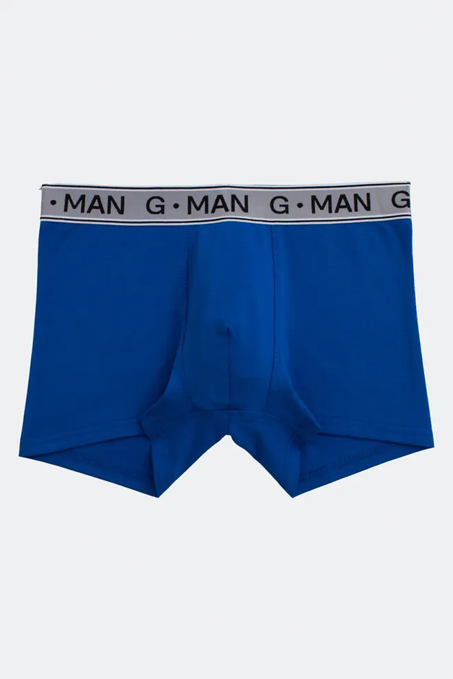 Мужские трусы боксеры G-man 20401/60 Giulia (electric)