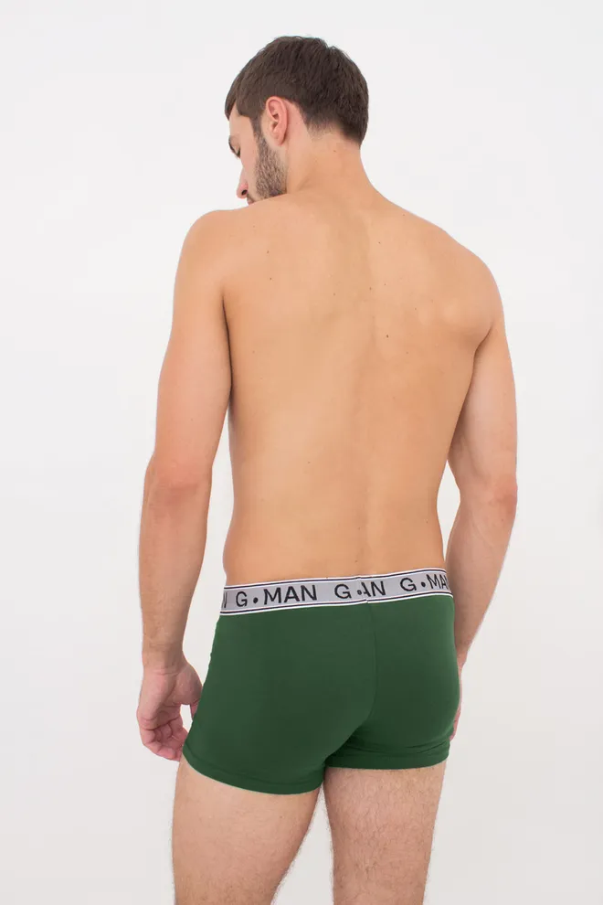 Мужские трусы боксеры G-MAN 20401/60 Giulia (pine green), зелёный